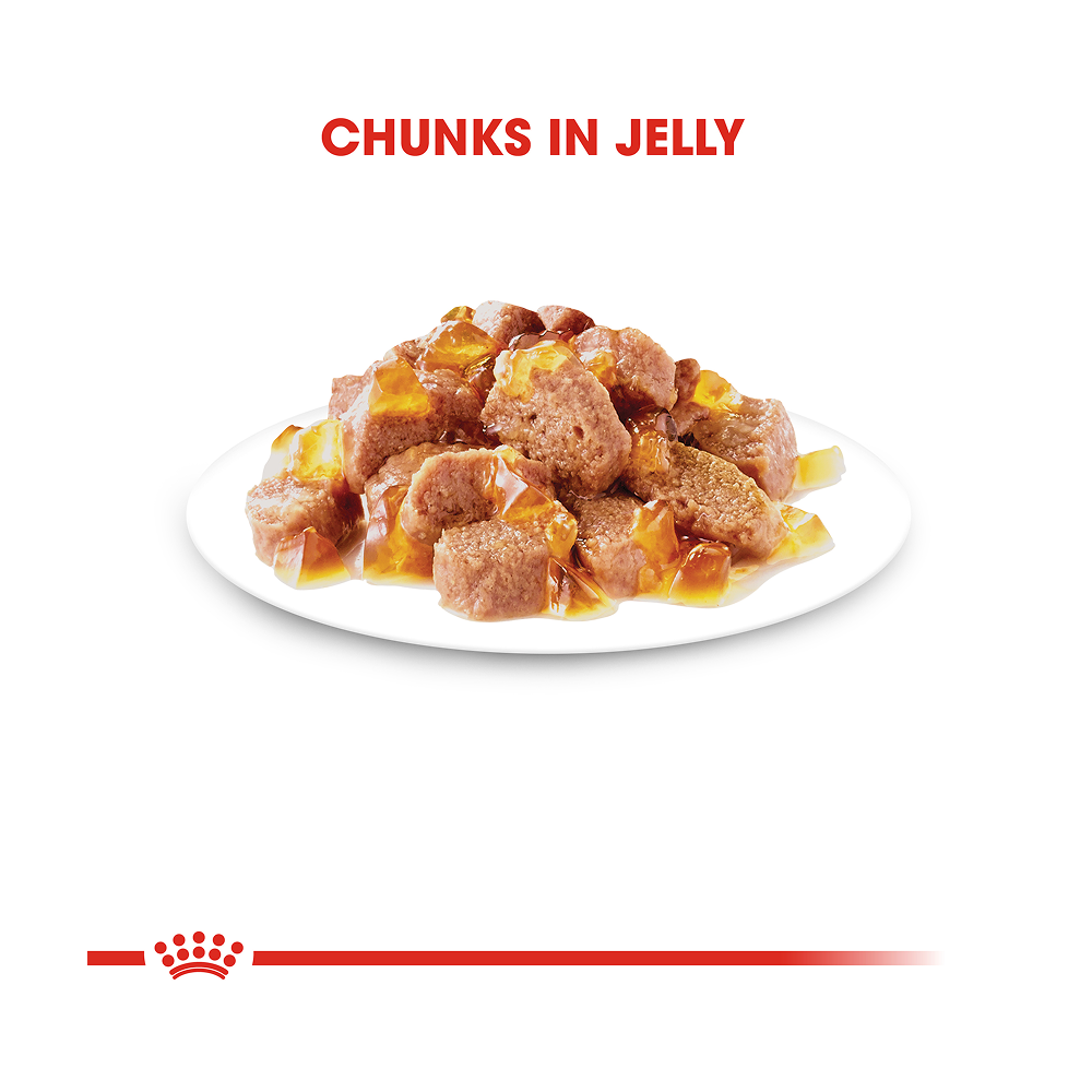 Royal Canin Sterilised Pouch in Jelly
