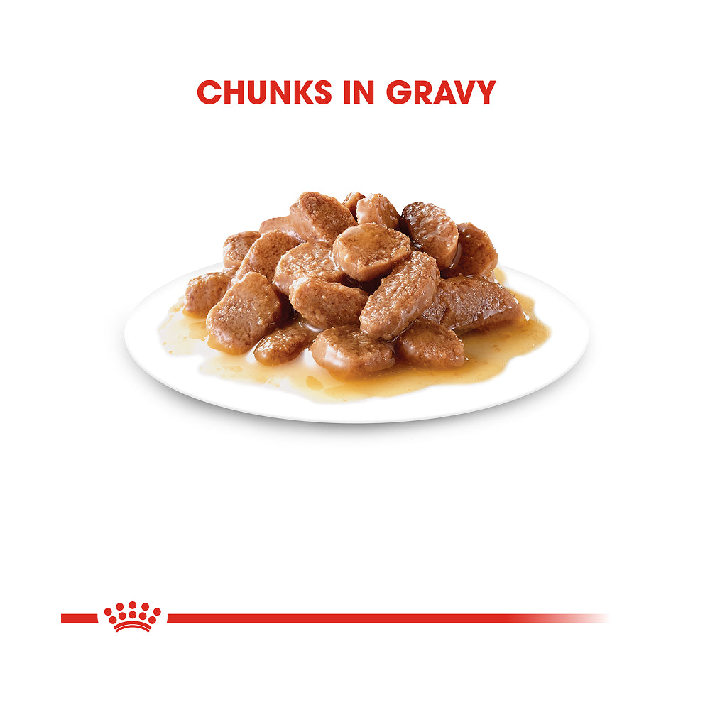 Royal Canin Hairball Care Pouch in Gravy
