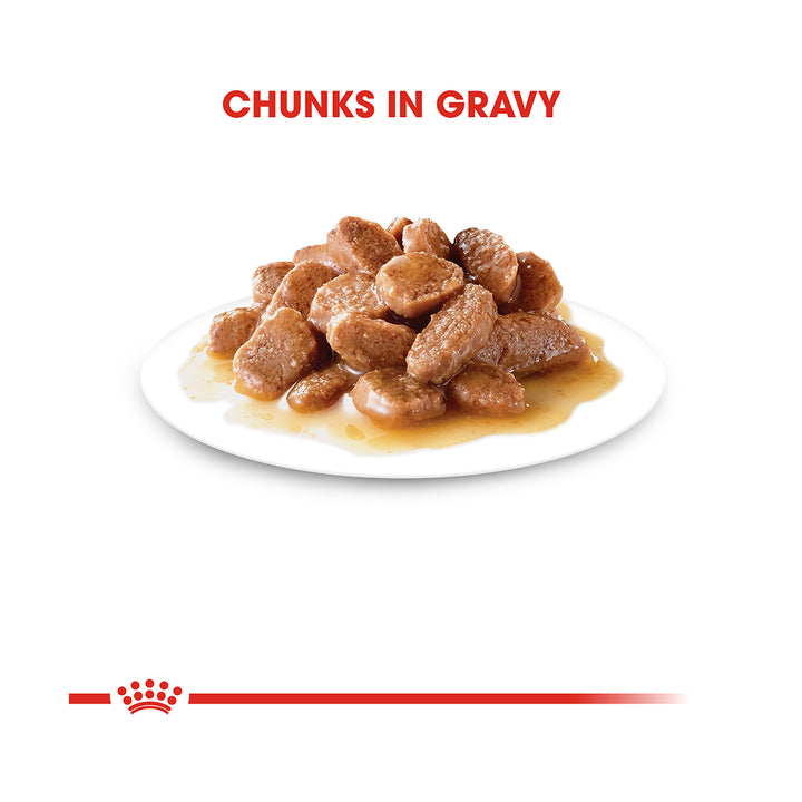 Royal Canin Hairball Care Pouch in Gravy