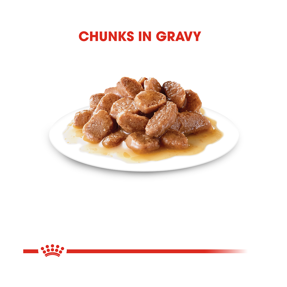 Royal Canin Urinary Care Pouch in Gravy