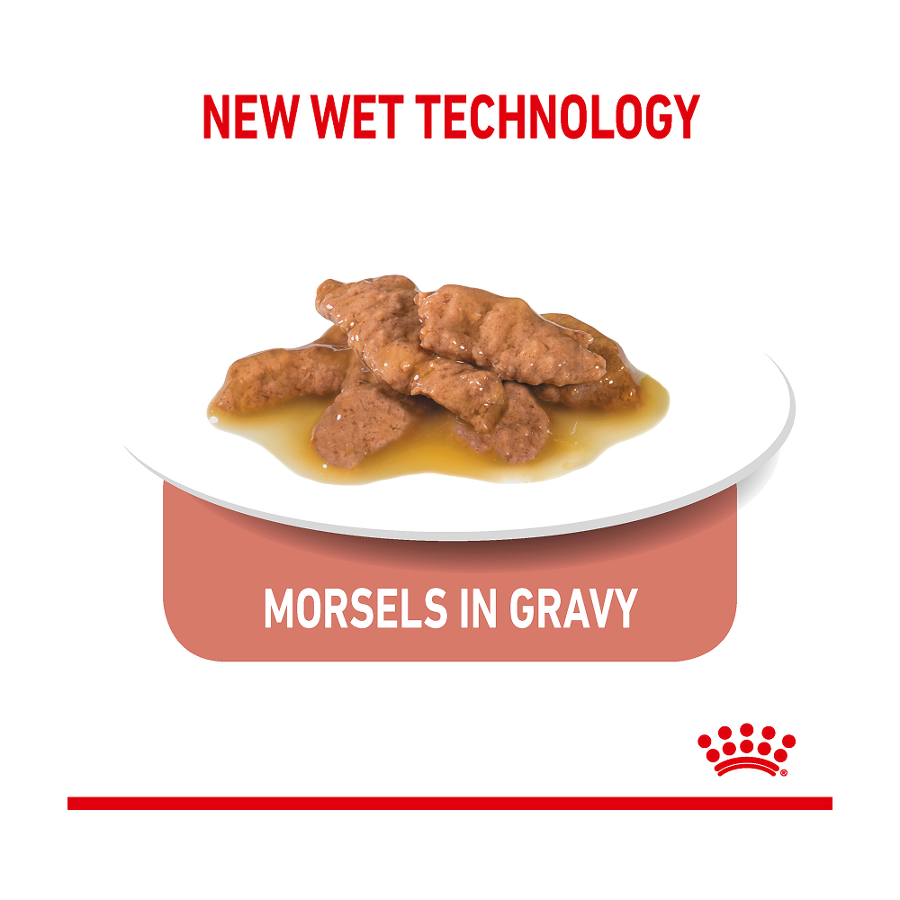 Royal Canin Indoor Sterilised Pouch in Gravy