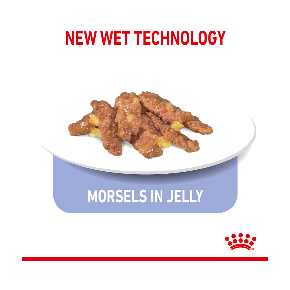 Royal Canin Indoor Sterilised Pouch in Jelly