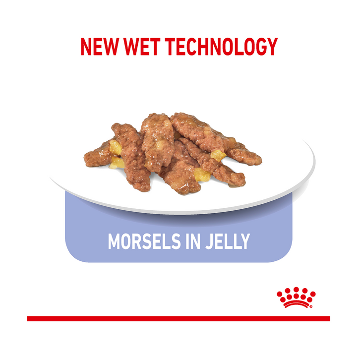 Royal Canin Indoor Sterilised Pouch in Jelly
