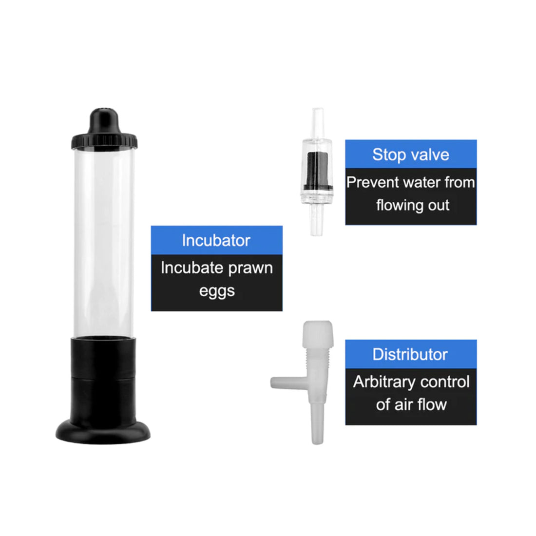 Brine Shrimp Incubator