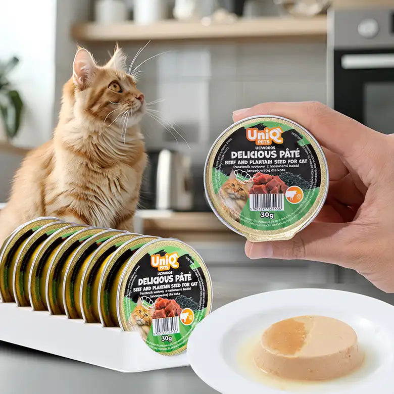 Uniq PETS Cat Wet Food Beef Pate 30g