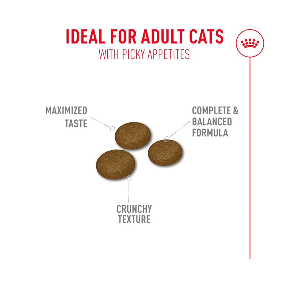Royal Canin Fussy Dry Cat Food