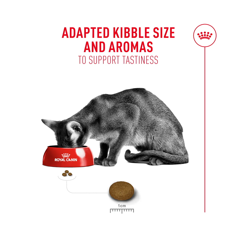 Royal Canin Fussy Dry Cat Food