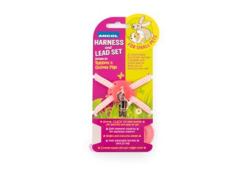 Ancol Rabbit And Guinea Pig Harness And Lead Set
