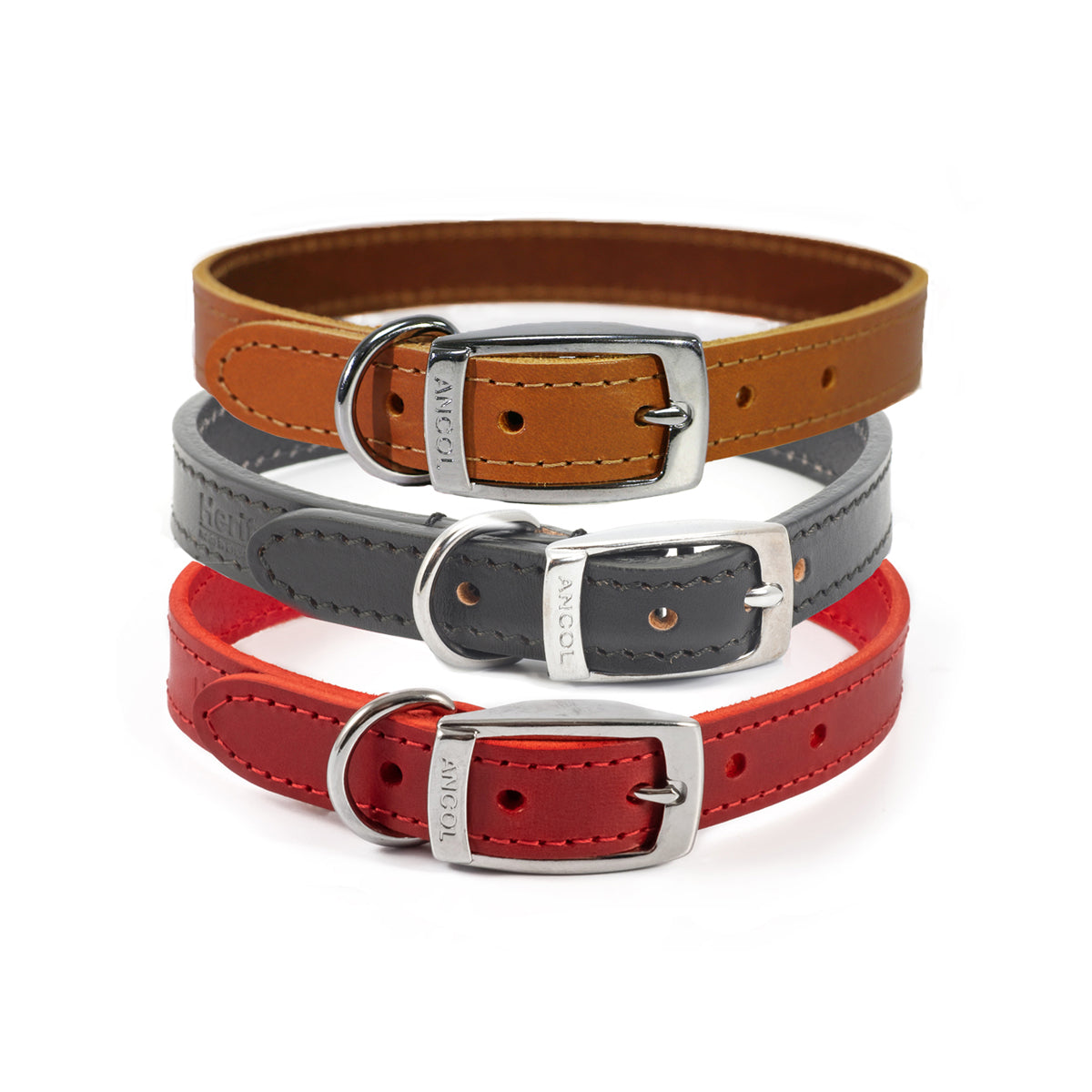 Ancol Classic Leather Collar 12″ Size 1