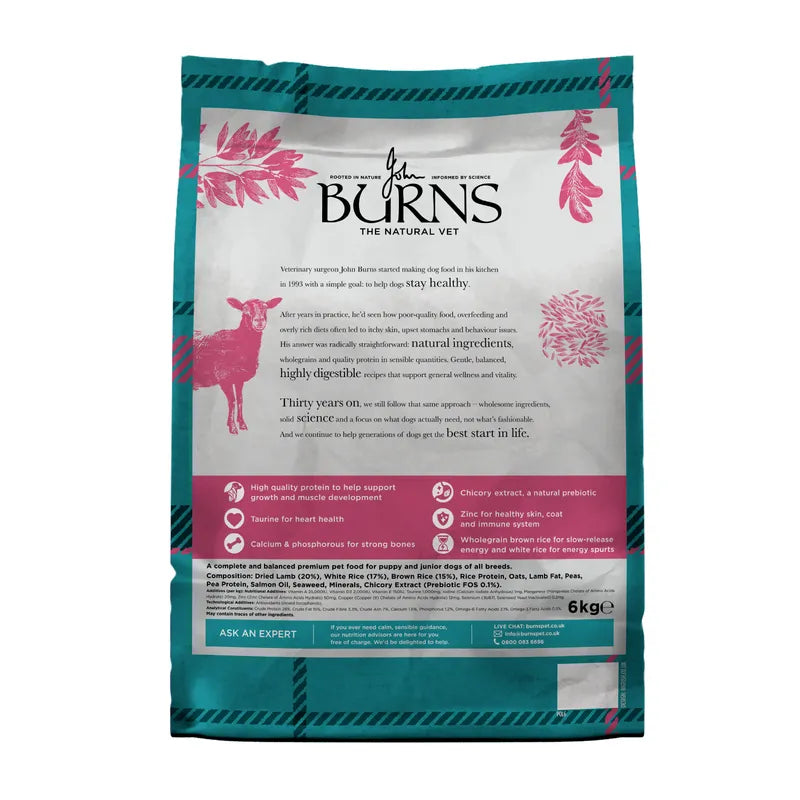 Burns Puppy Original Lamb & Rice 2kg