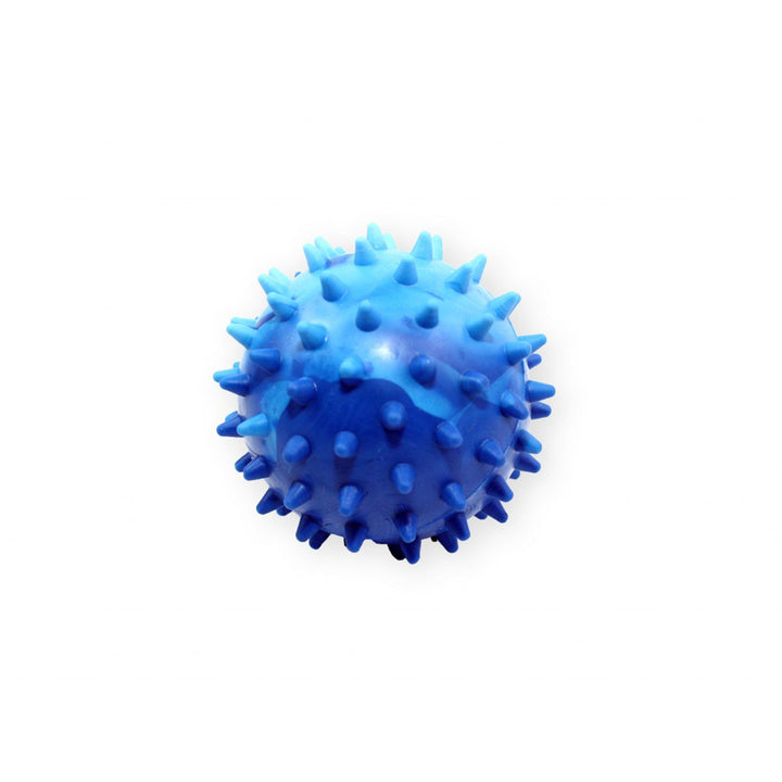 Pet Nova Spikey Rubber Ball