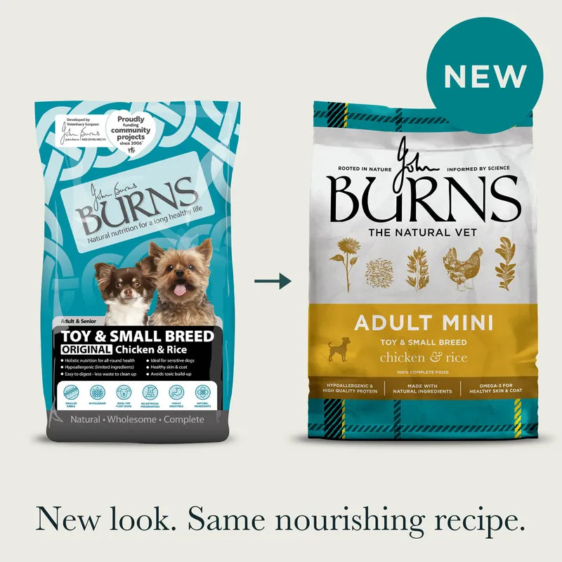 Burns Original Adult Toy and Small Dog Chicken & Rice