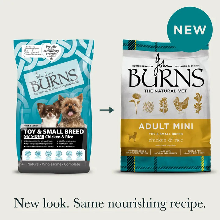 Burns Original Adult Toy and Small Dog Chicken & Rice