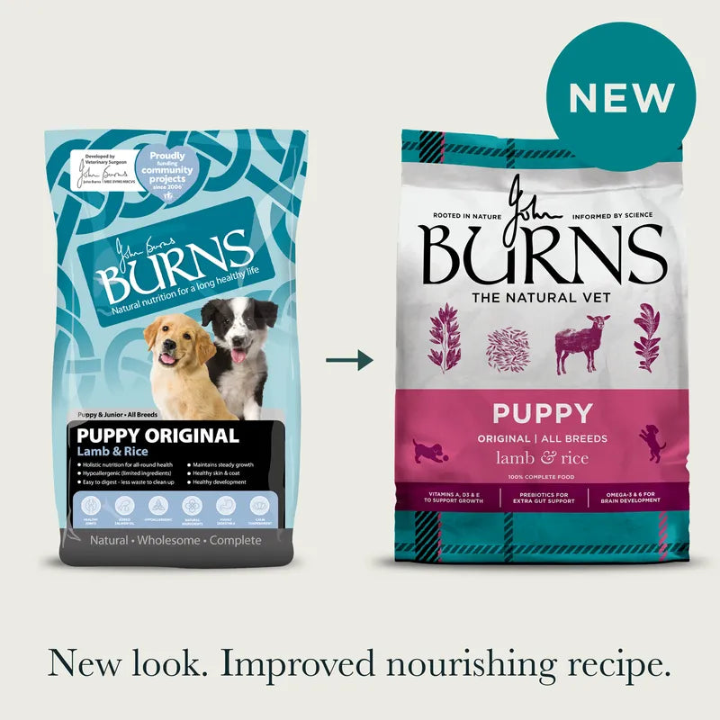 Burns Puppy Original Lamb & Rice 2kg