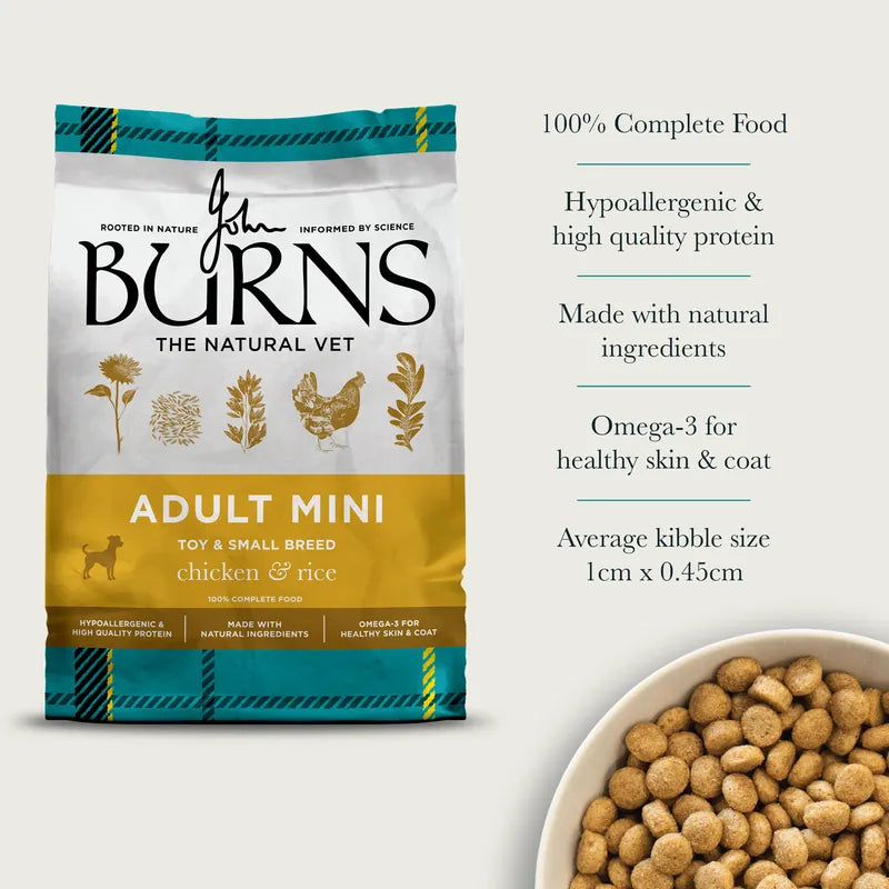 Burns Original Adult Toy and Small Dog Chicken & Rice