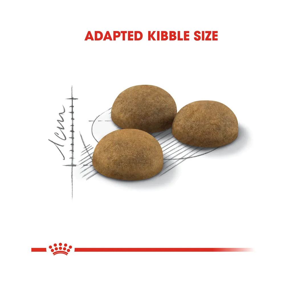 Royal Canin Indoor Longhair 2kg