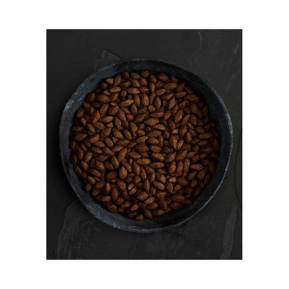Canagan Dog Insect Protein For Puppies & Adults