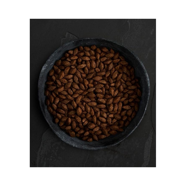 Canagan Dog Insect Protein For Puppies & Adults