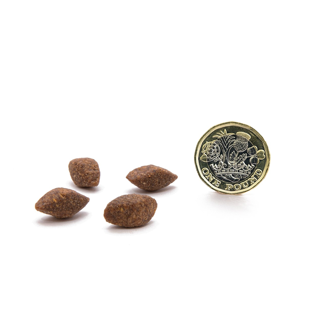 Canagan Dog Insect Protein For Puppies & Adults