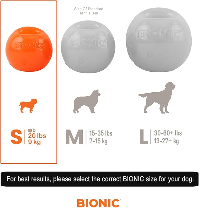 BIONIC Ball Dog Toy