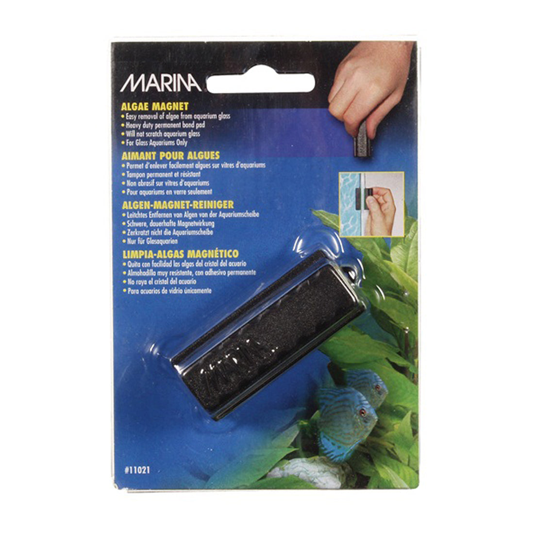 Marina Small Algae Magnet