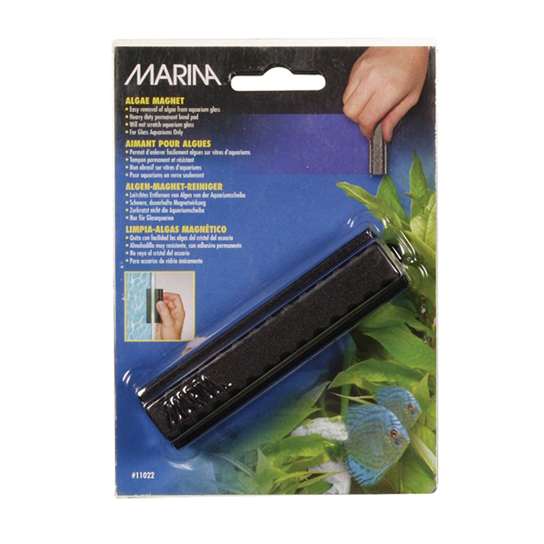 Marina Medium Algae Magnet