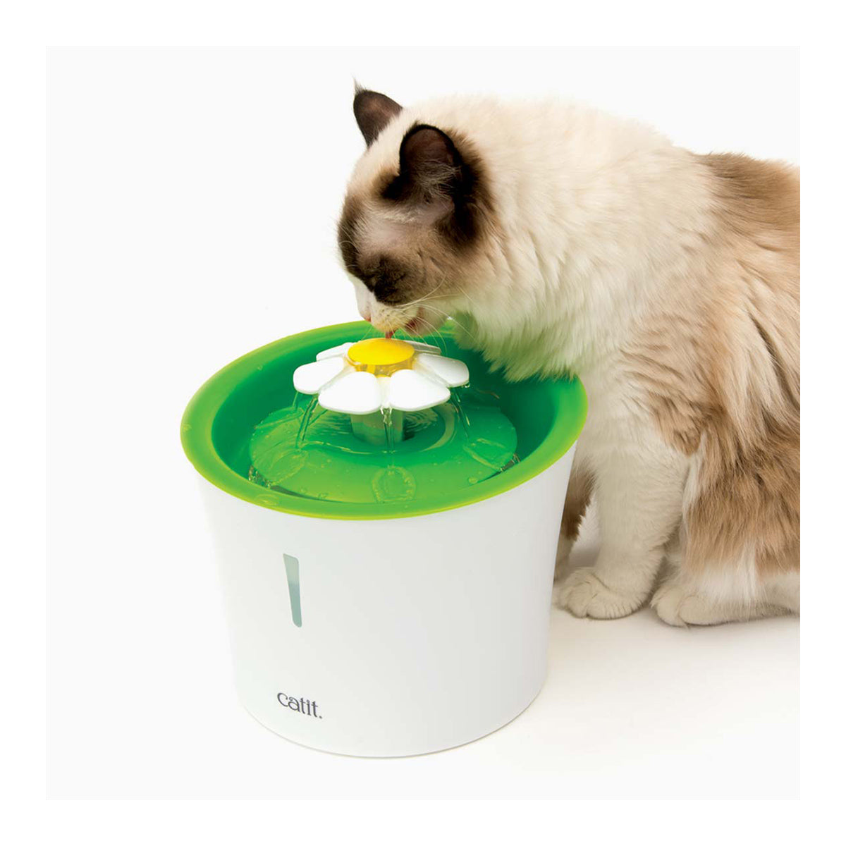 Catit Flower 2.0 Drinking Fountain