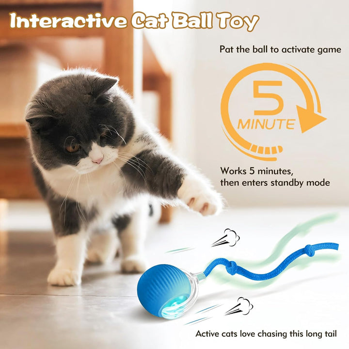 Cat Dancing Ball-Rolling Ball