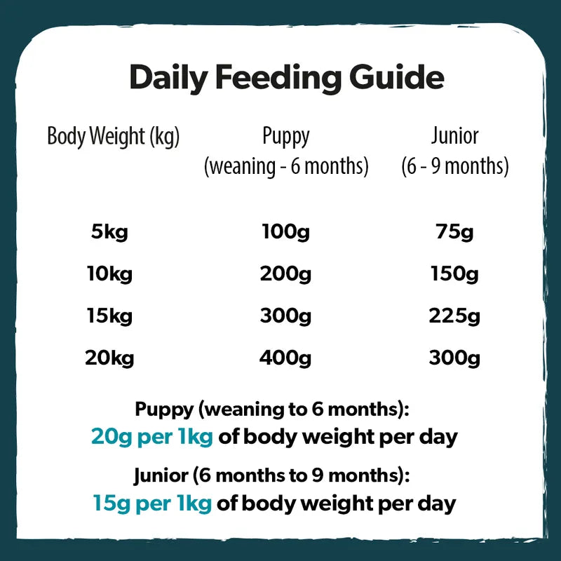 Burns Puppy Original Lamb & Rice 2kg