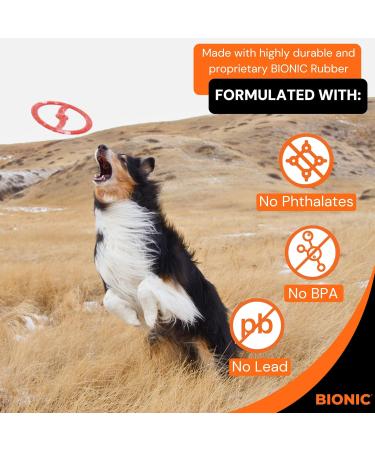 BIONIC Toss-n-Tug Ring Dog Toy