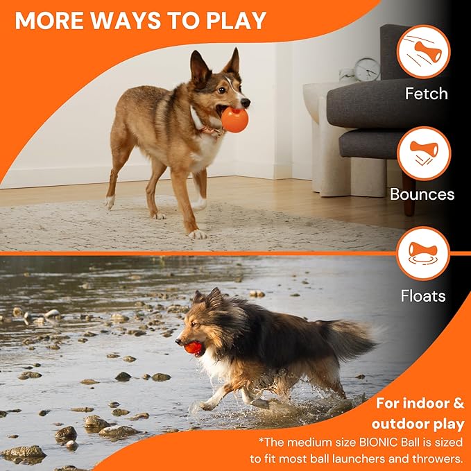 BIONIC Ball Dog Toy