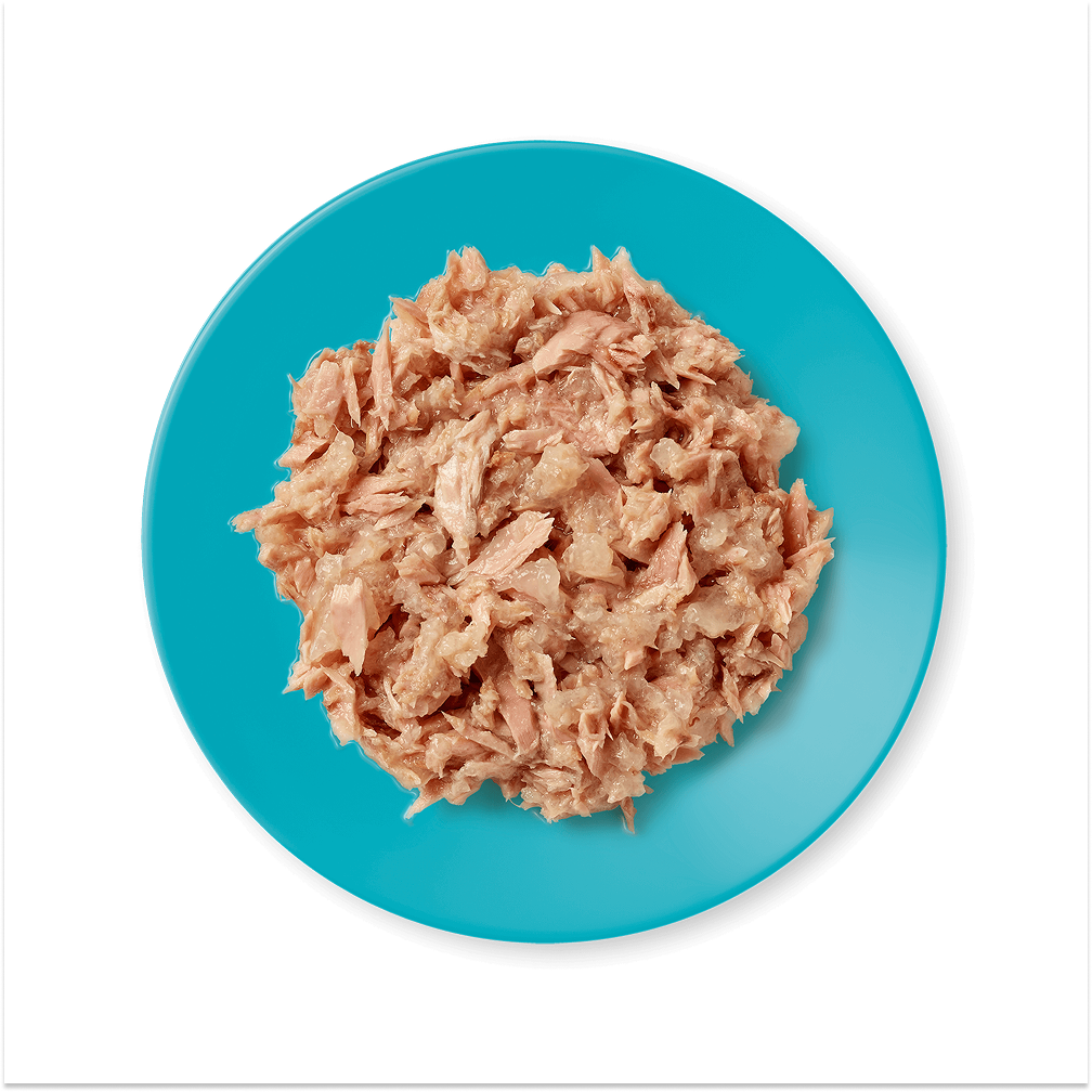 Applaws Pouches Tuna Fillet in Jelly