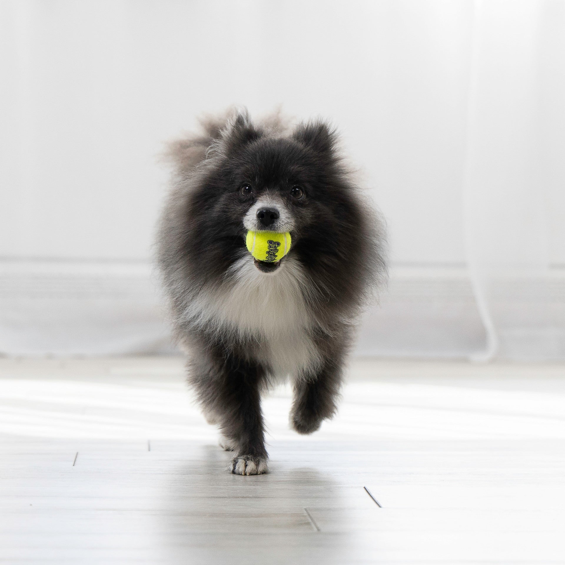 Kong Air Squeaker Tennis Ball X-Small 3PCS