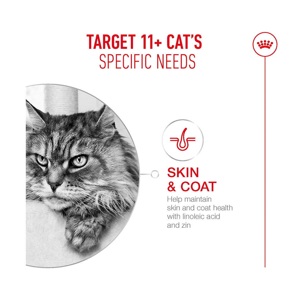 Royal Canin Ageing 11+ Pouch in Gravy