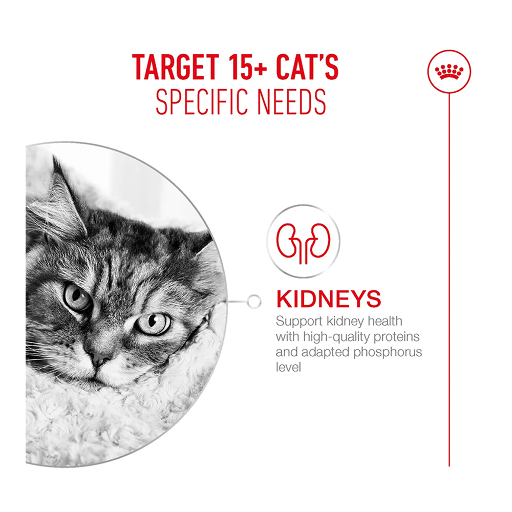 Royal Canin Ageing 15+ Pouch in Gravy