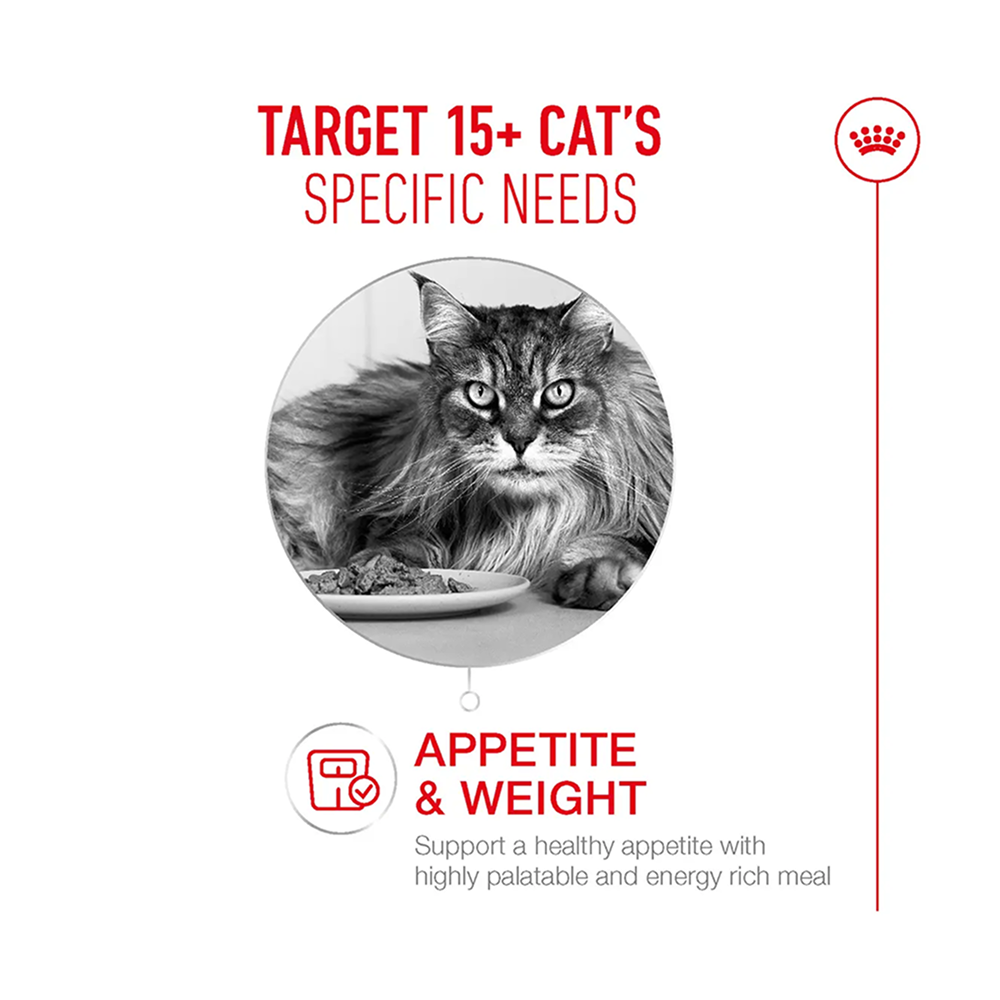 Royal Canin Ageing 15+ Pouch in Gravy