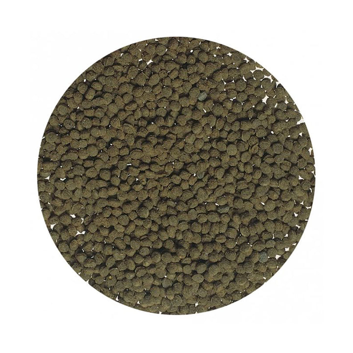 Tetra Goldfish Gold Colour 75g/250ml
