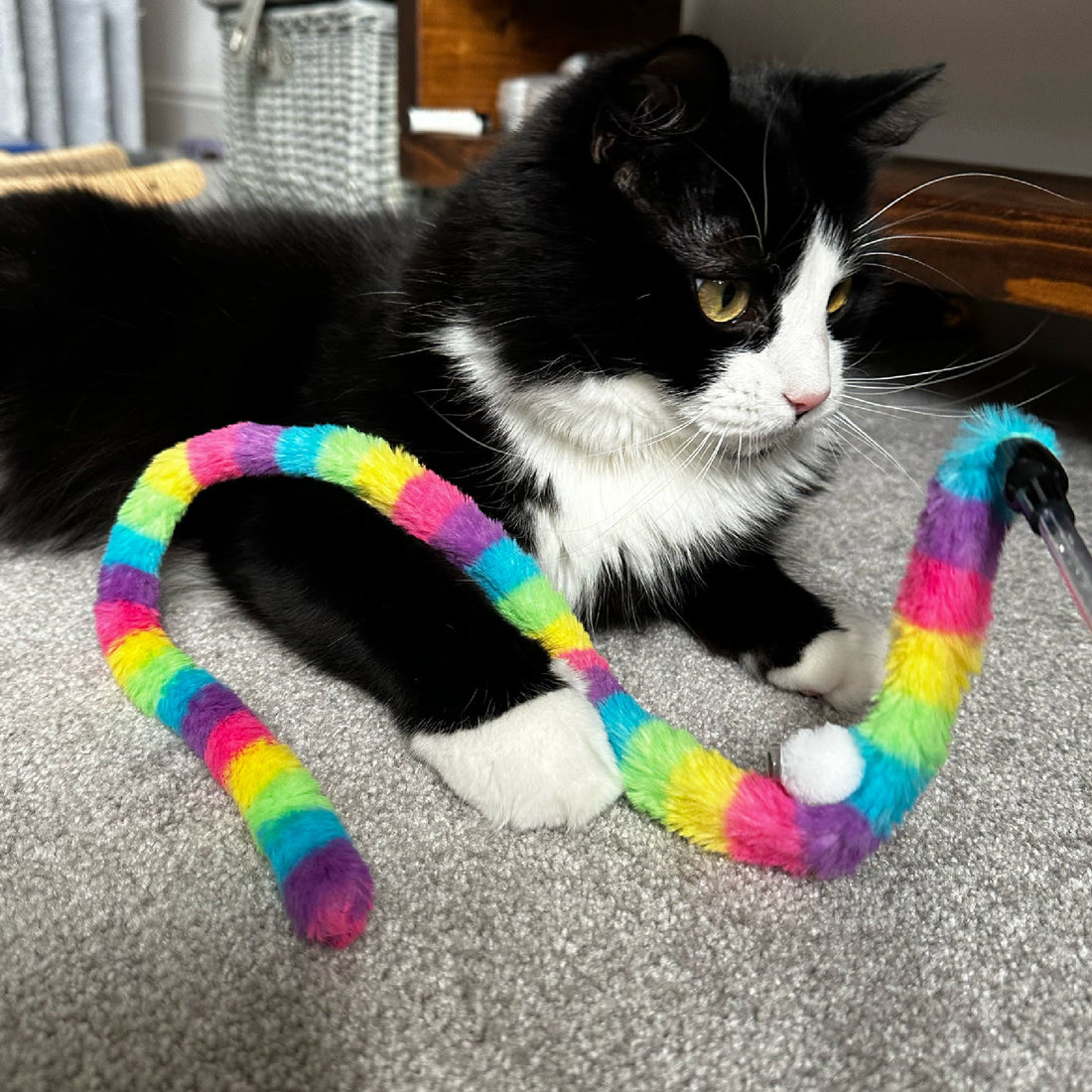 Ancol Wiggle Worm Cat Dangler Rainbow