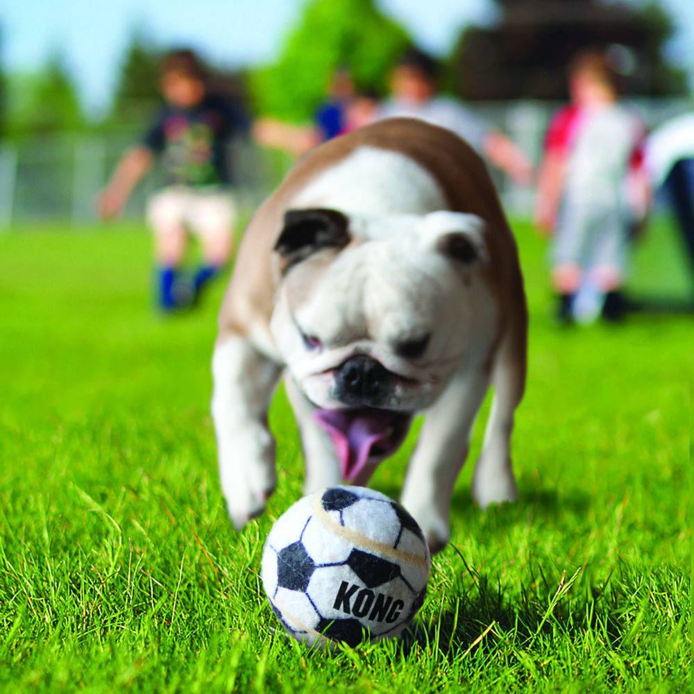 Kong Sport Ball Small 3Pack
