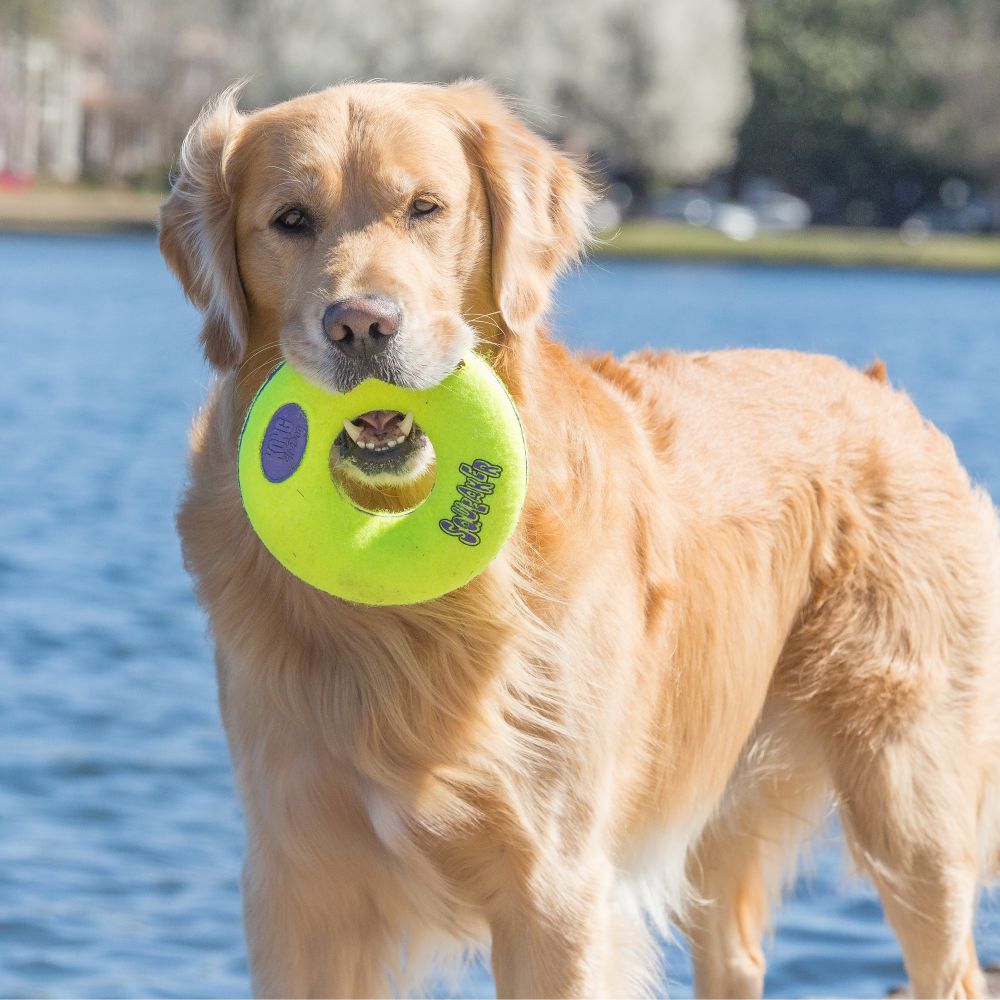 Kong Air Squeaker Donut