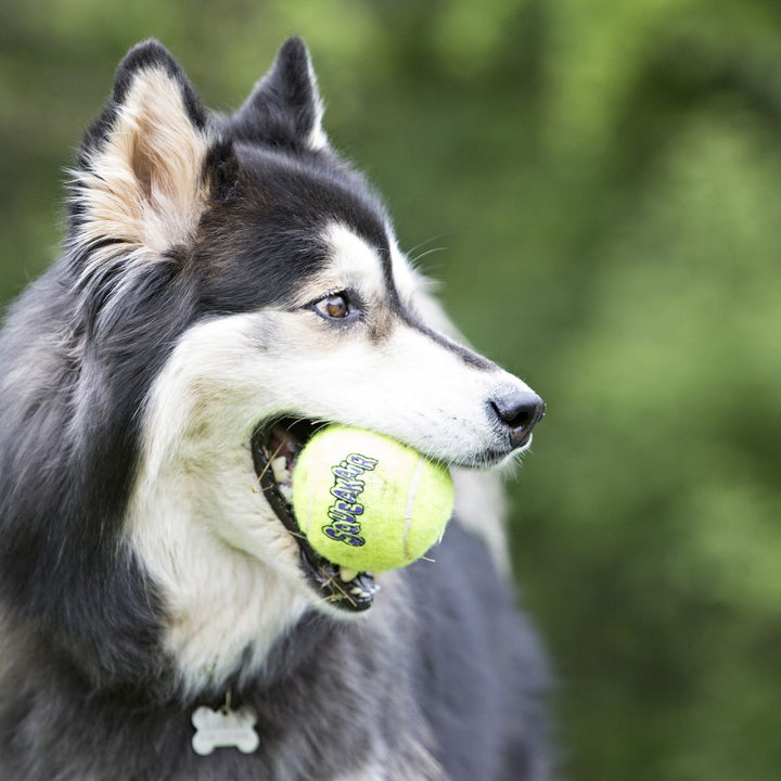 Kong Air Squeaker Tennis Ball Small 3PCS
