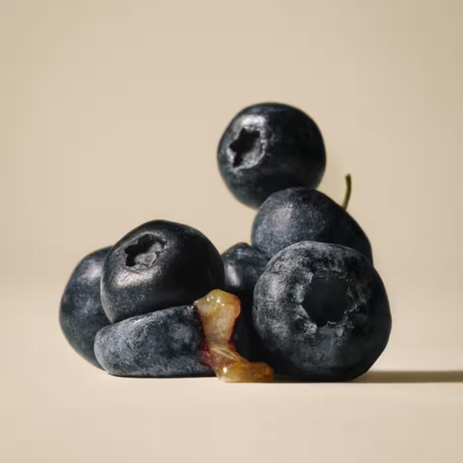 Carnilove Crunchy Treat – Salmon & Blueberries 200g