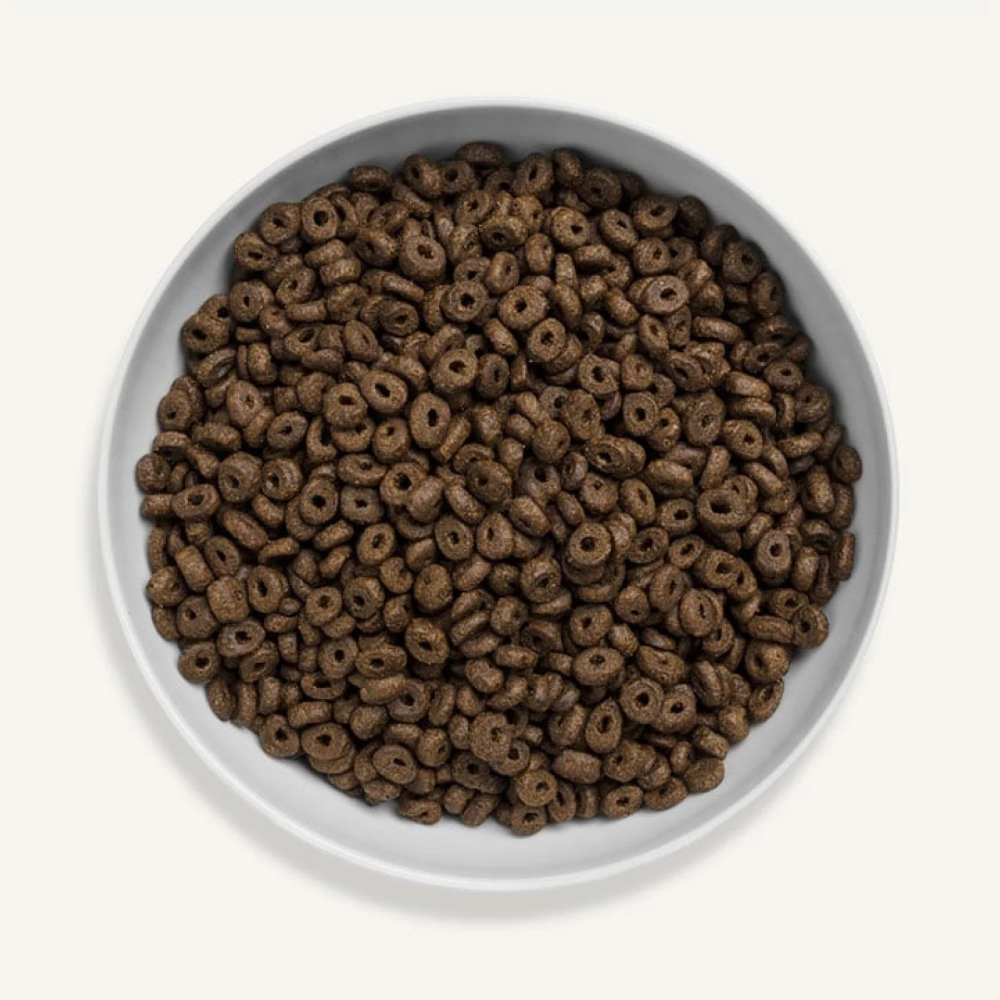 Canagan Dog Small Breed Salmon For Puppies & Adults