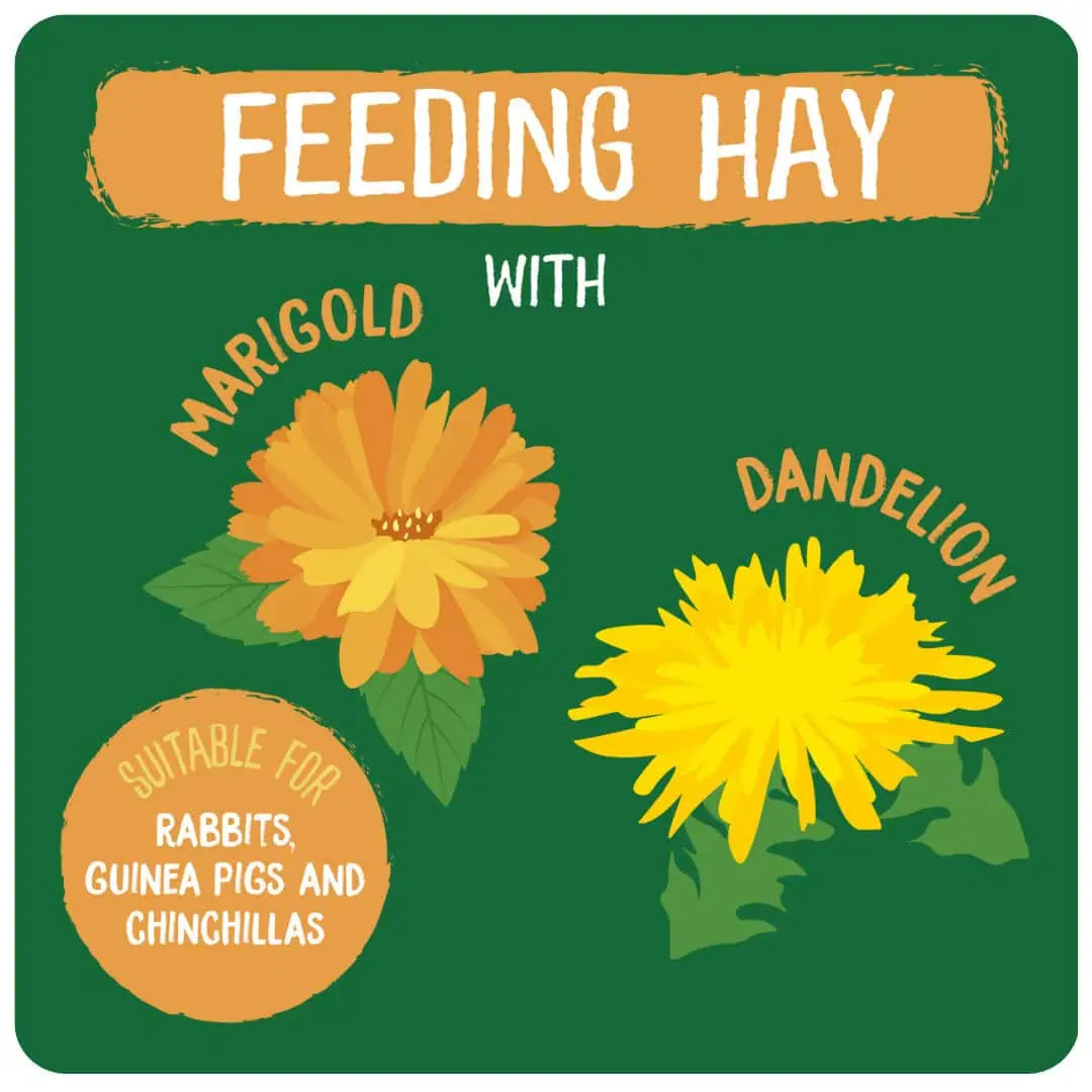 Burgess Excel D`Lion HerBage Timothy Hay 1kg