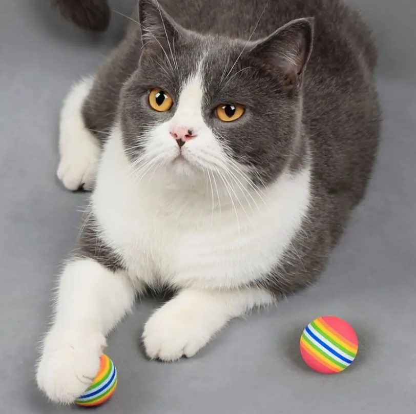 Interactive Red Rainbow Cat Toy Balls