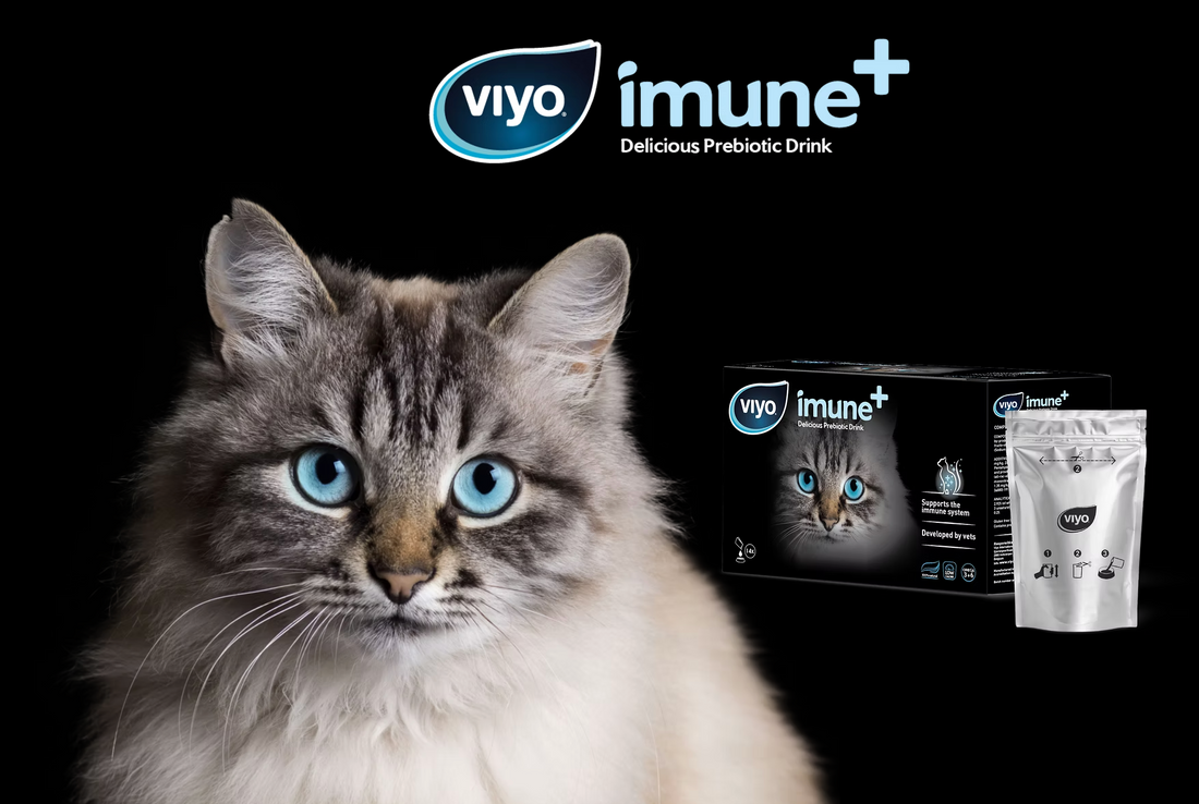 VIYO Cat Immune Prebiotic Drink 30ml