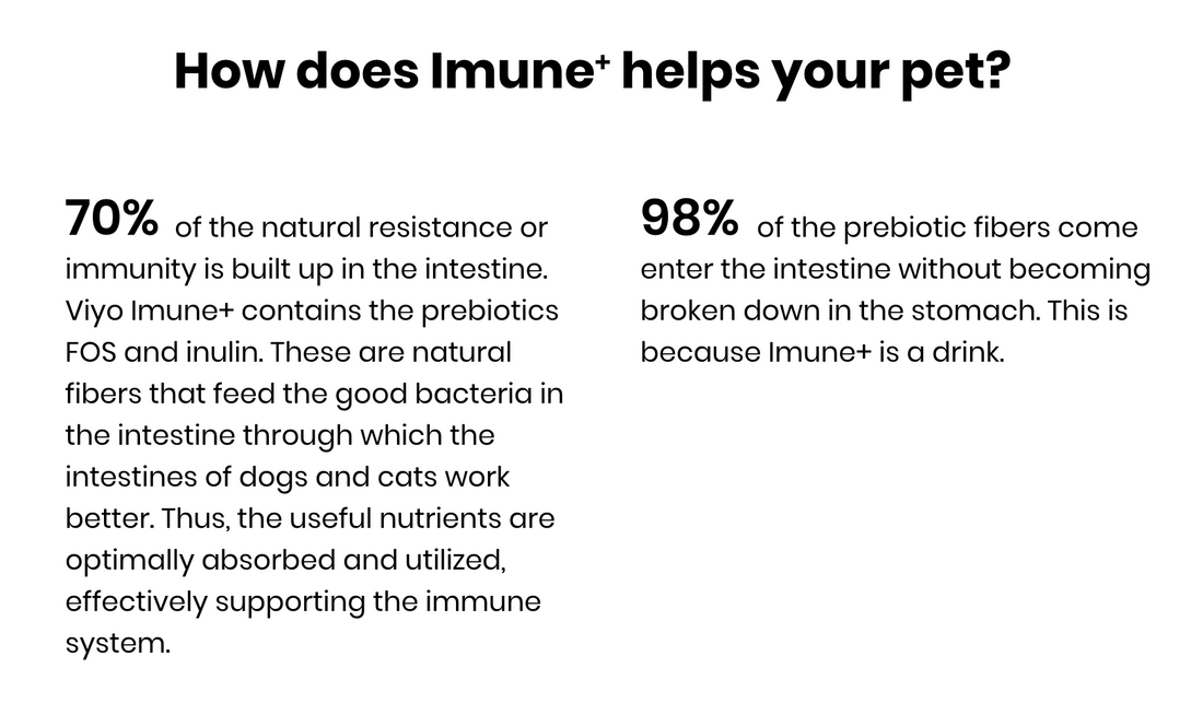 Viyo Imune+ Prebiotic Drink For Dogs 30ml