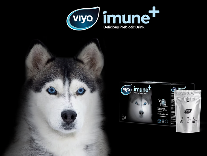 Viyo Imune+ Prebiotic Drink For Dogs 30ml