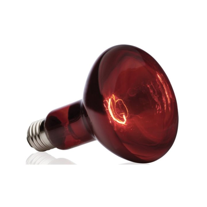 Exo Terra Infrared Basking Spot 150w