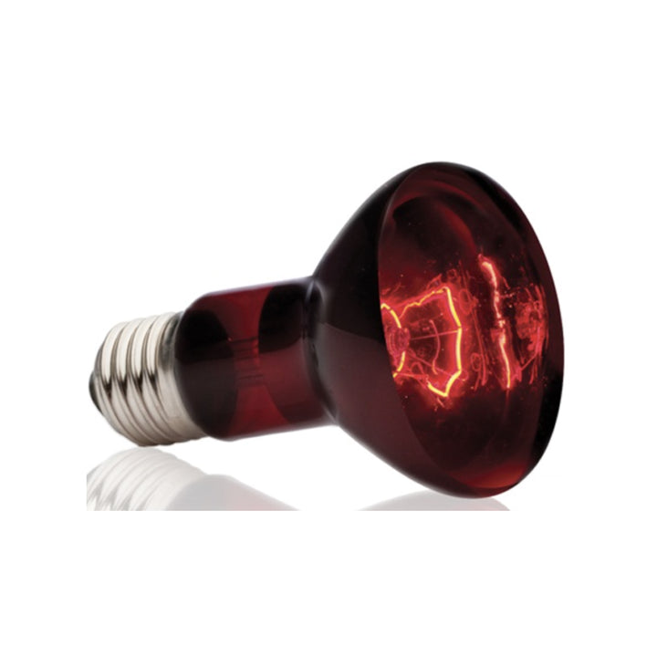 Exo Terra Infrared Basking Spot 75w